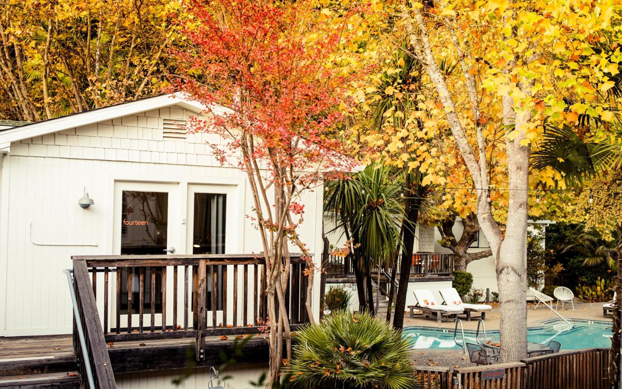 Boon Hotel + Spa - Adults Only Guerneville Δωμάτιο φωτογραφία
